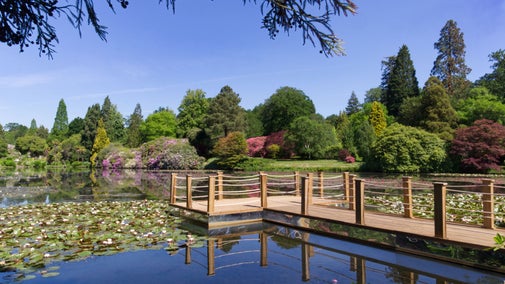 Floating pontoon amongst the waterlilies at Sheffield Park and Garden